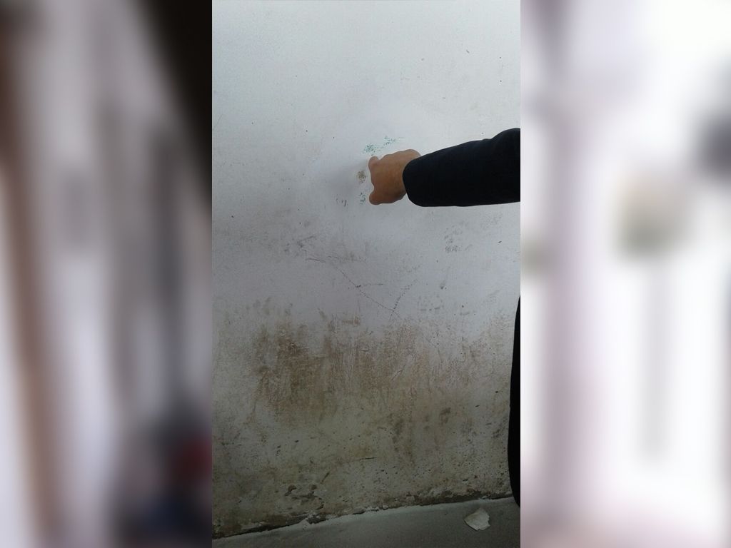 Arreglos en la fachada