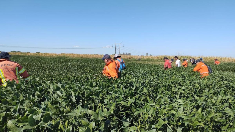 Búsqueda de Lian Gael Flores Soraire. Búsqueda de Lian Gael Flores Soraire.