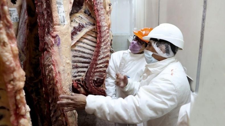 El&nbsp;valor por kilo&nbsp;de corte es de&nbsp;$ 699 la tira de asado; $ 749 el vacío; $ 779 el matambre; $ 449 la falda; $ 639 la tapa de asado; $ 799 la nalga; y $ 649 la paleta.