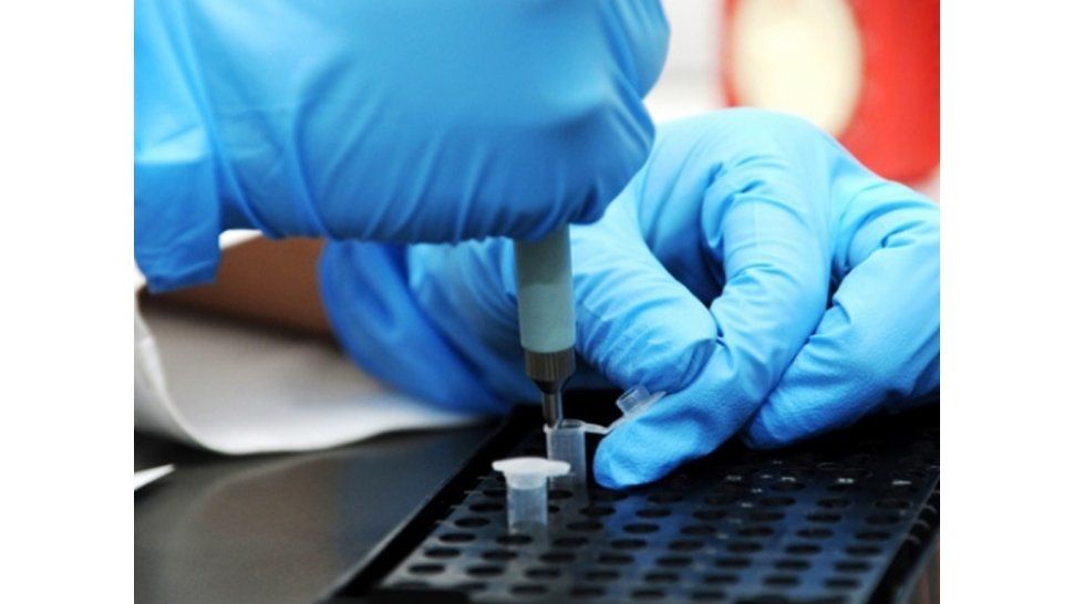 Ciencia e investigación