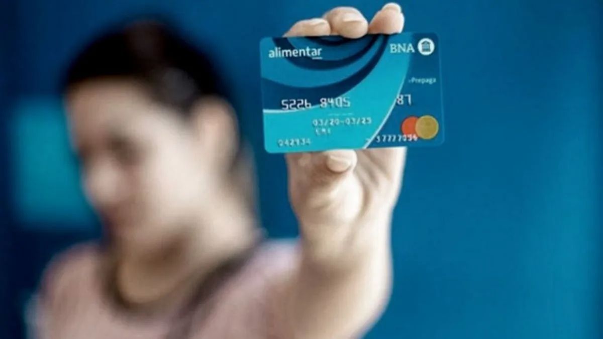 La Tarjeta Alimentar se enfoca puntualmente en los hogares con menores recursos.