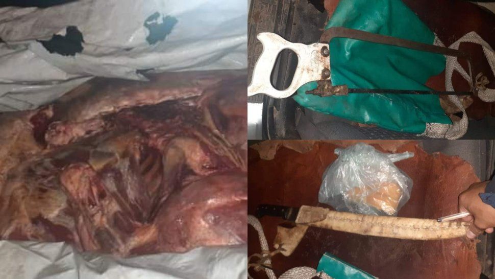 faenaban animales de manera ilegal en la madrugada y fueron atrapados