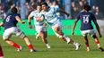 Los Pumas vuelven al norte (Archivo)