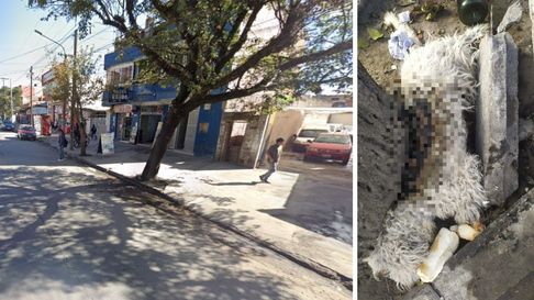 Todo Jujuy | maltrato (1).jpg
