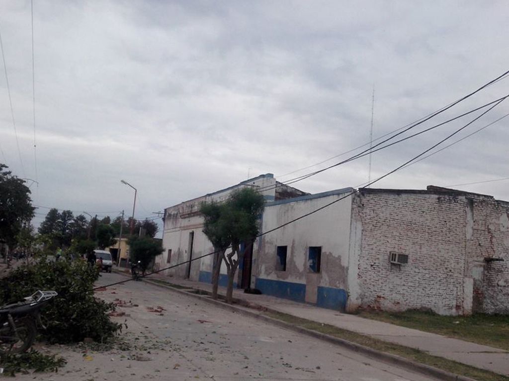 Arboles caídos en El Galpón