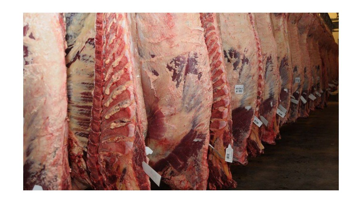 Todo Jujuy | Exportación de carne