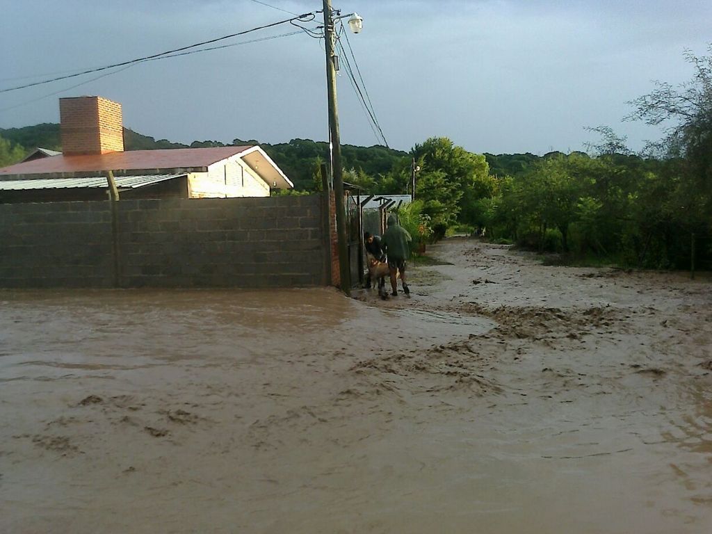Los Alisos