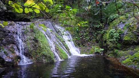 Todo Jujuy | La cascada del Indio Bamba, un lugar poco conocido a orillas del Río Suquía.