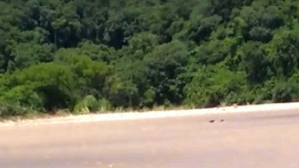 cruzaban el rio bermejo caminando y la corriente los arrastro: dos personas murieron