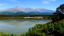Los Alisos, el encantar