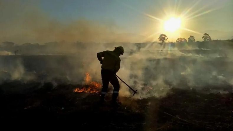 Abre la segunda cohorte de la Diplomatura Universitaria para formar brigadista de incendios de vegetación y emergencias ambientales.