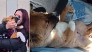 Canelo se reencontró con su dueña. Canelo se reencontró con su dueña.