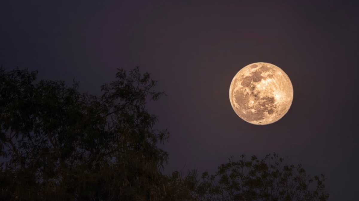 Luna Llena De Febrero 2023 Así Afectará A Cada Signo 7263