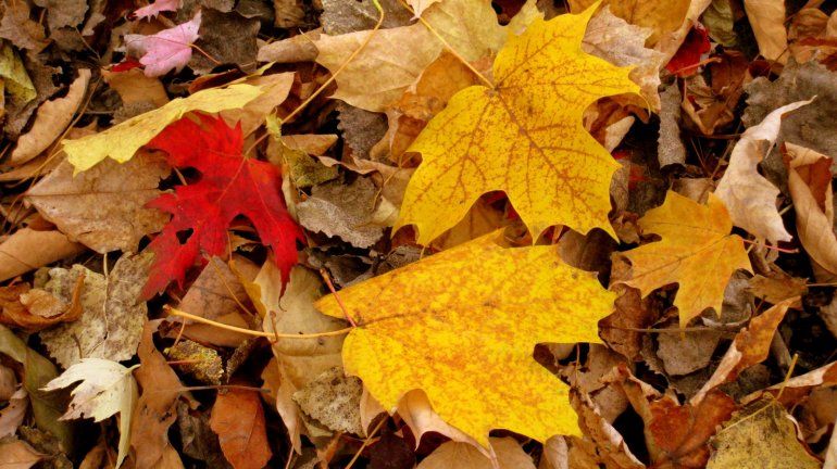 otoño