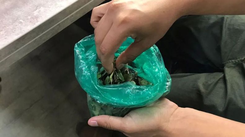 Aumento el precio de la hoja de coca.