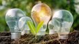 Jujuy tendrá una planta que generará energía eléctrica con residuos orgánicos