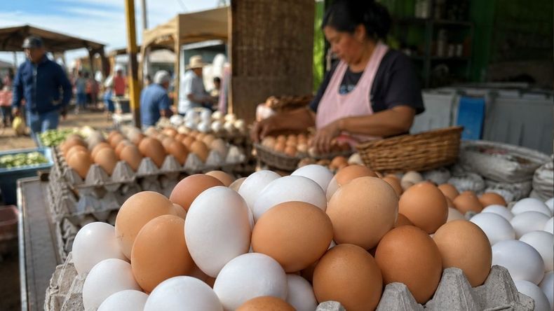 Consumo de huevos&nbsp;