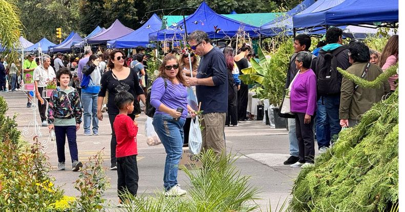 Se inaugur&oacute; la XV Edici&oacute;n de La Flor M&aacute;s Bella