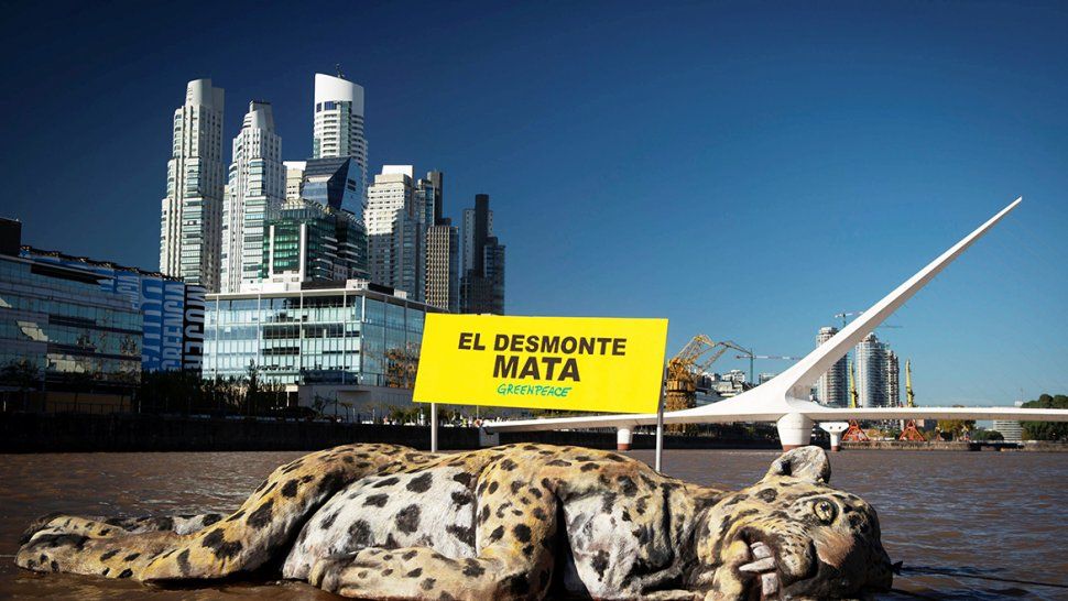Protesta de Greenpeace: apareció un yaguareté muerto en Puerto Madero