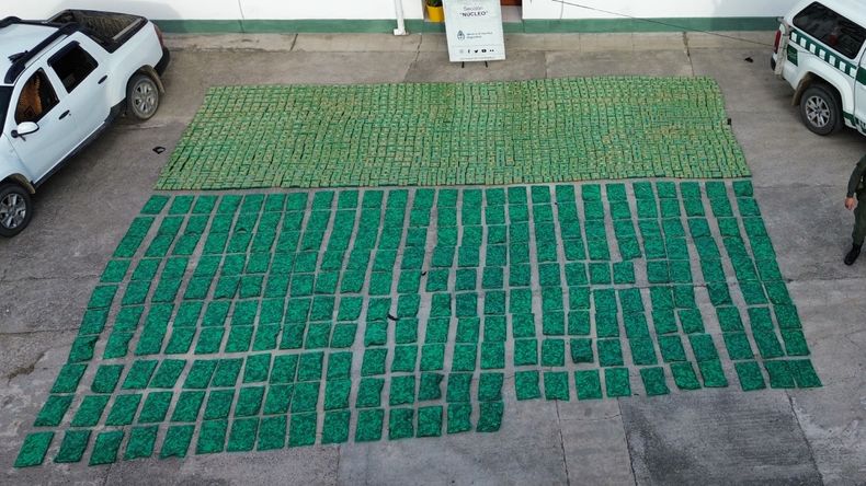Decomisan casi 1.400 kilos de hojas de coca en la puna jujeña Decomisan casi 1.400 kilos de hojas de coca en la puna jujeña