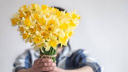 Por qué se regalan flores amarillas el 21 de septiembre