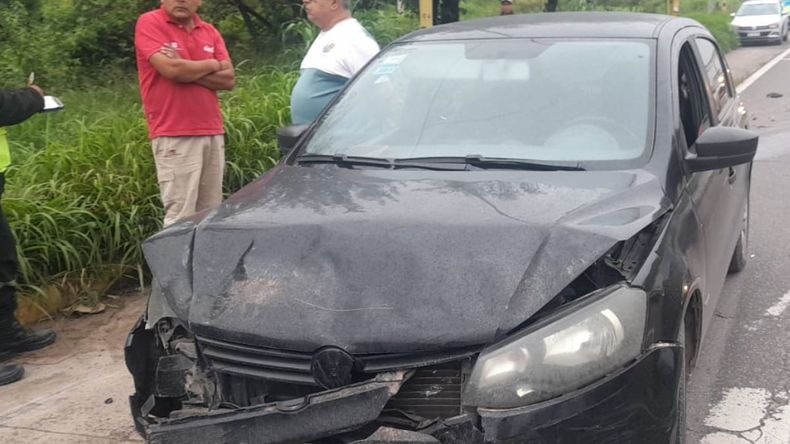 Triple choque en ruta 9 en la bajada de Alto Comedero: habría sido por esquivar un perro Triple choque en ruta 9 en la bajada de Alto Comedero: habría sido por esquivar un perro