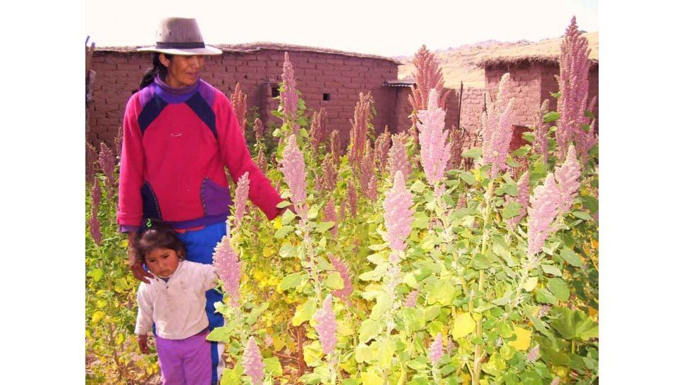 5to Congreso Internacional de Quinoa