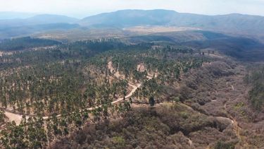 La Eco Reserva La Almona está basada en la sostenibilidad.