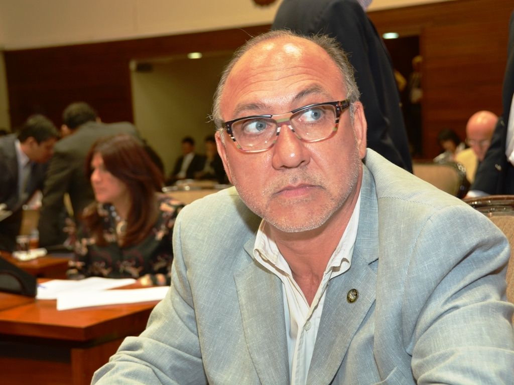 Luis de la Zerda - Diputado PJ