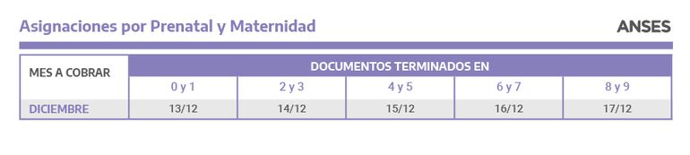 ANSES Jujuy: quiénes cobran hoy martes 30 de noviembre
