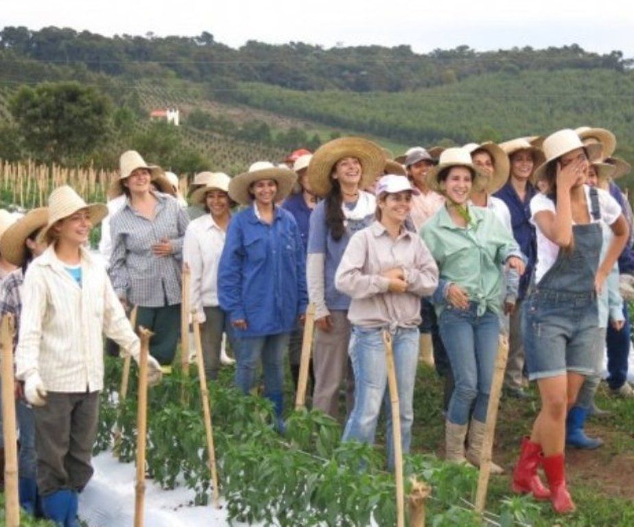 Comunidad de "amazonas"