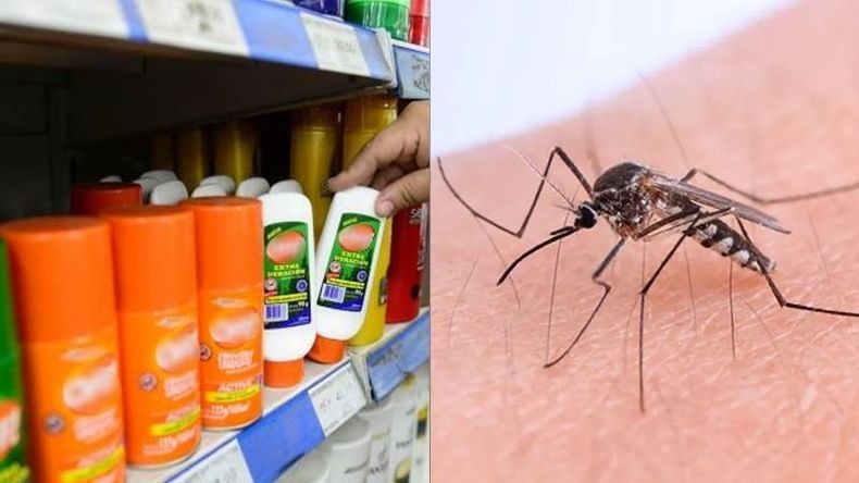 repelentes-mosquitos-baratos-caseros-economicos-jpg..jpg