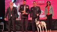 Reconocimiento en los Premios San Salvador a la Unidad Especial División Perros K9 de la Policía.