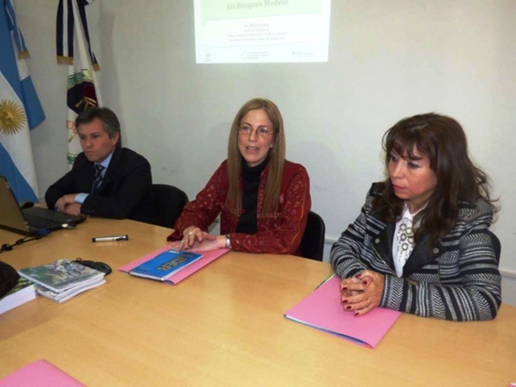 Presentación