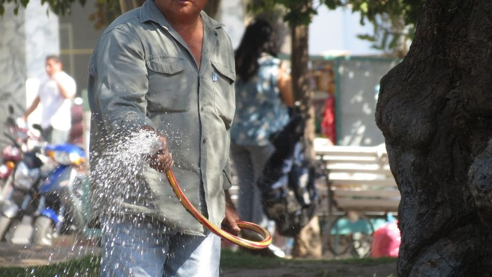 Ola de calor