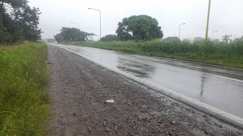 Pastizales en rutas de Jujuy Pastizales en rutas de Jujuy