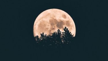 Horóscopo: cómo afectará la Luna Llena en Virgo.&nbsp;