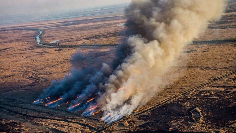Los desmontes provocaron incendios forestales en 14 provincias. /Foto: Eduardo Bodiño - Greenpeace.