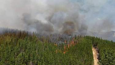 Incendios en Chubut.