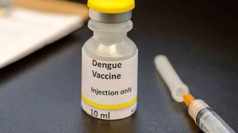 Todo Jujuy | dengue vacuna.jpg