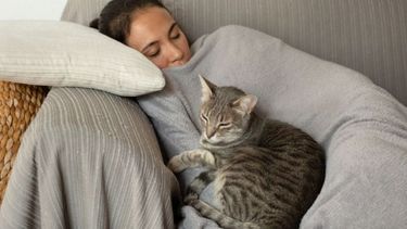 La siesta ideal debe durar 20 minutos, según especialistas.