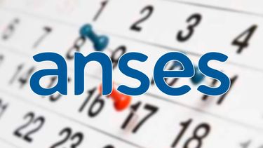 ANSES: Cronograma de pagos para este miércoles 19 de julio