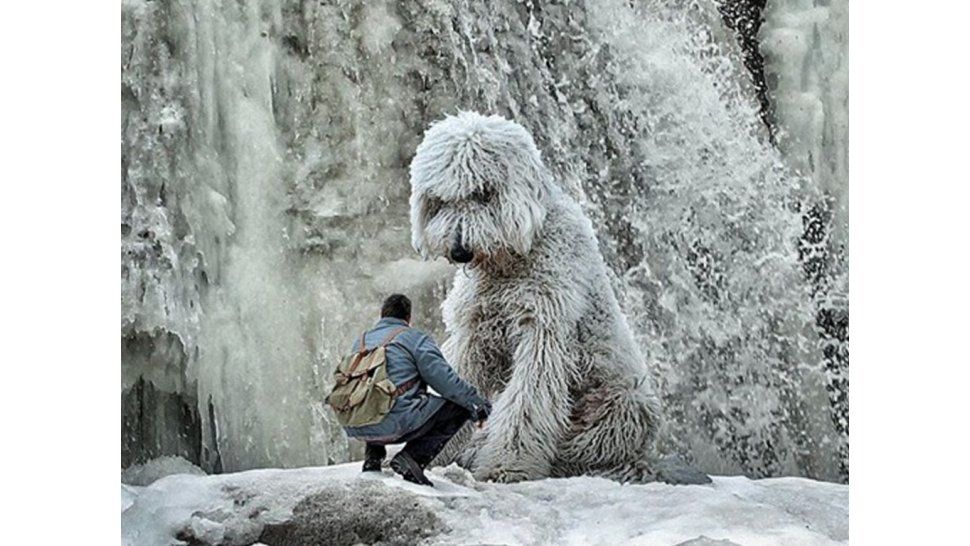 Pura creatividad en Instagram