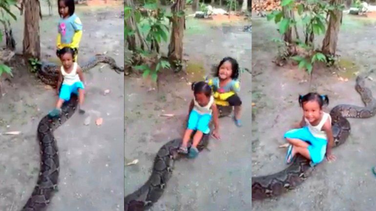 Serpiente Indonesia