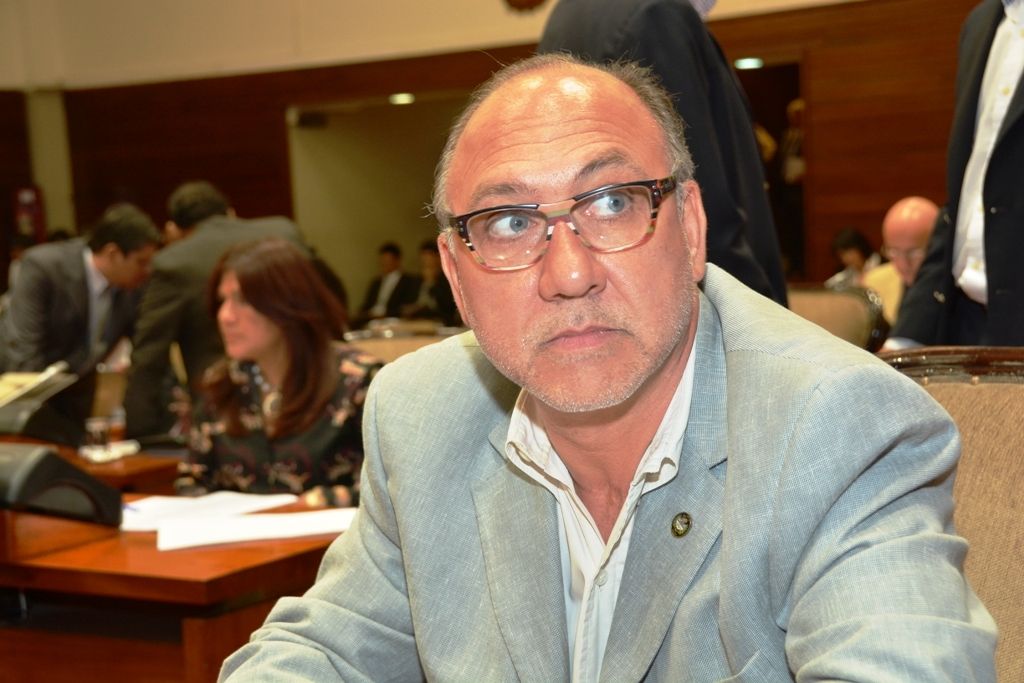Luis de la Zerda - Diputado PJ
