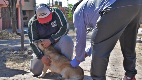 Todo Jujuy | Comienza la Semana de Prevención y Control de la Rabia