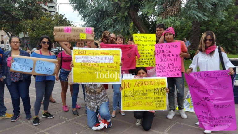 marcha maltrato animal