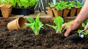Taller de Huerta Familiar en San Salvador de Jujuy