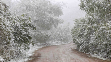 Nieve en Jujuy (Foto: Carlos Sadir)