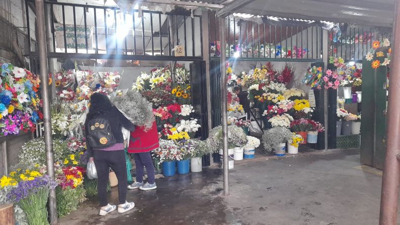 Paseo de las Flores (2)